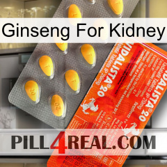 Ginseng For Kidney new01